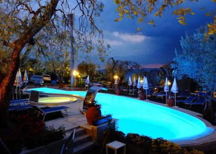 Internazionale Hotel Torri Del Benaco